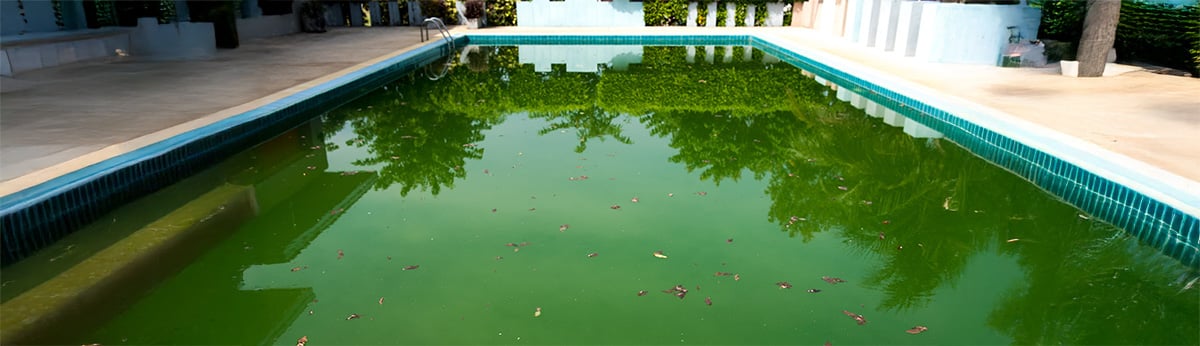 How often should I drain my dirty swimming pool?