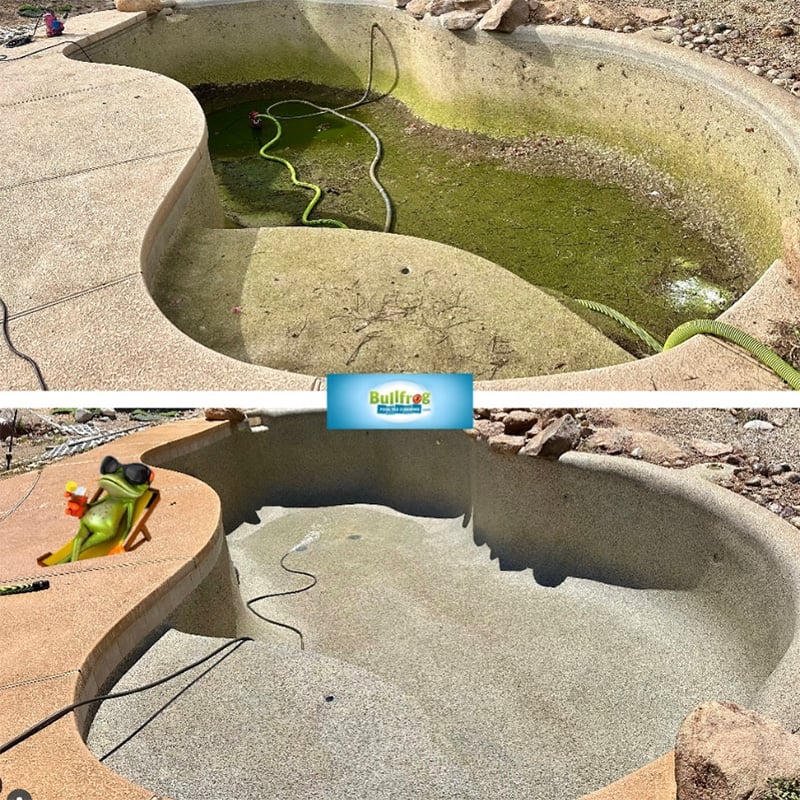 Drained pool with green algae removal