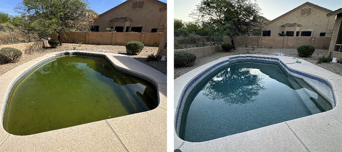 Before and after comparison of green pool water cleaning service
