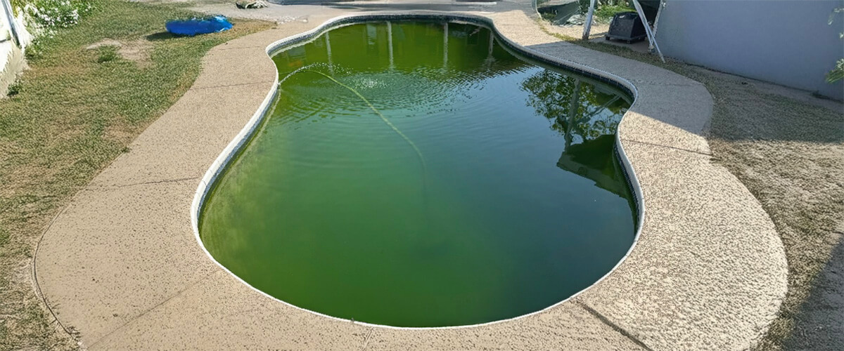 Arizona swimming pool with excessive algae blooms in need of pool draining
