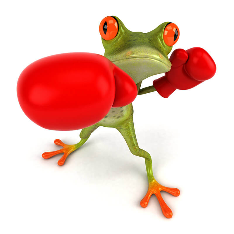 Knock Out Frog